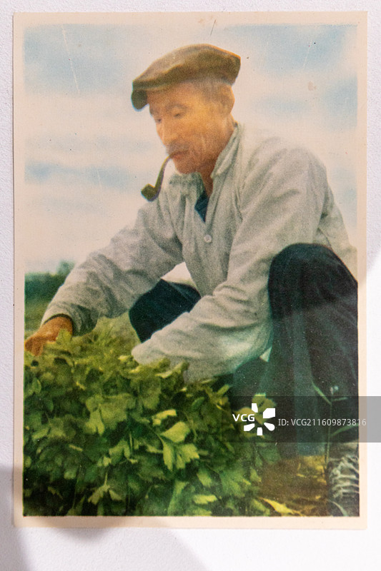 台州博物馆展出文物1961年《中国各民族》有52个一人普登记400多甄定39个二人普54个三人普56图片素材