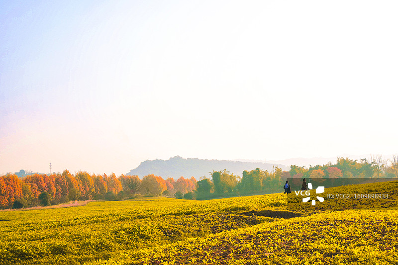 秋天广阳岛图片素材