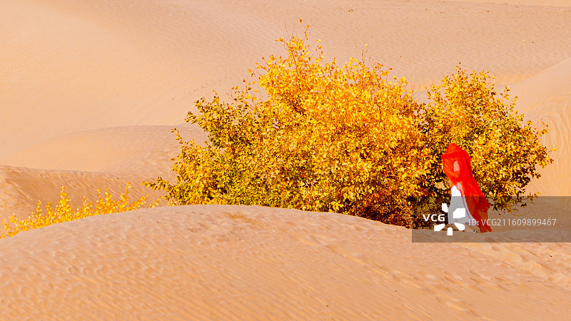 站在沙滩上的女人的后视图-580沙漠攻略图片素材