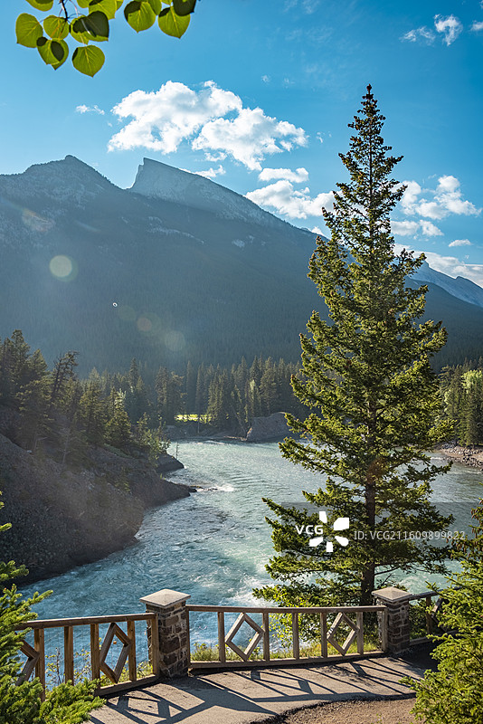 加拿大班夫，弓河瀑布湍急，松树挺立，山峦积雪，蓝天白云映衬。图片素材