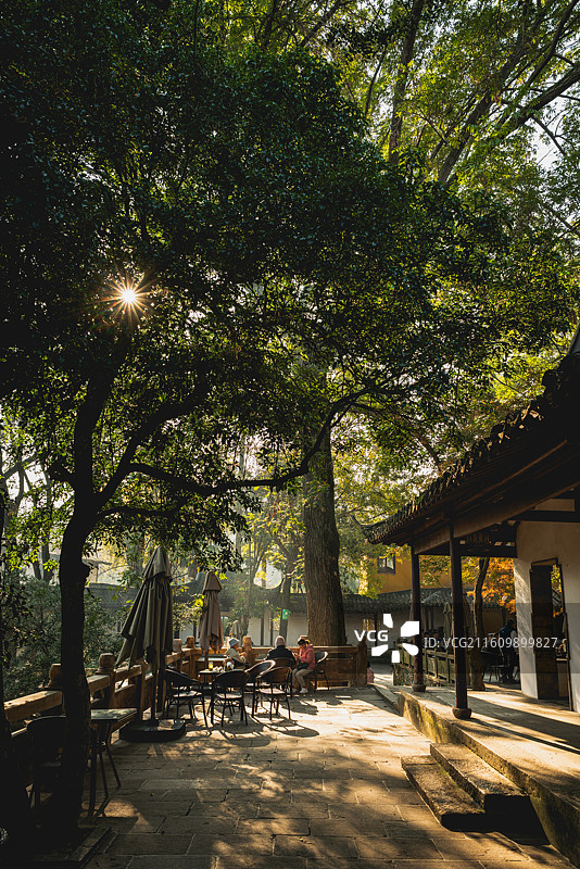 斑斓色彩的兴福寺图片素材