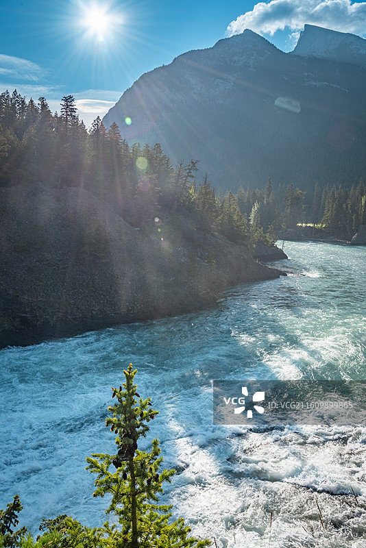 加拿大班夫，弓河瀑布湍急，树木葱郁，山脉积雪，蓝天映衬。图片素材