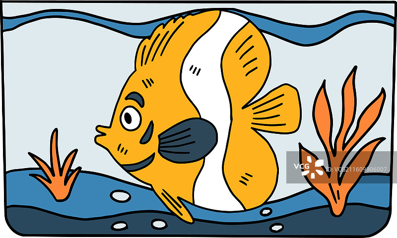 一条鱼在有几株植物的水箱中游动图片素材