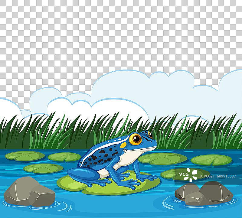 一只蓝色的青蛙坐在一片睡莲叶上图片素材