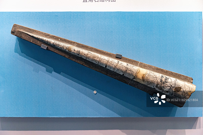 四川成都自然博物馆藏直角石化石图片素材