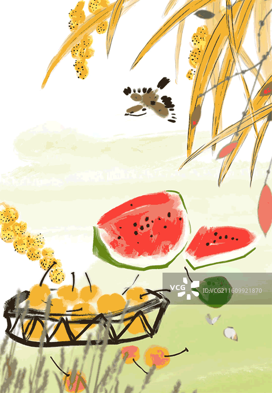 东方美学 西瓜 果实 收获 有机健康图片素材