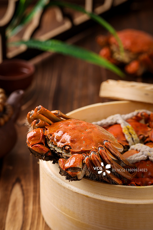 时令大闸蟹图片素材