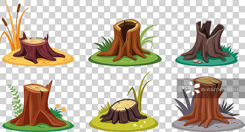 树桩 树木 收藏 林业 自然 乡村图片素材