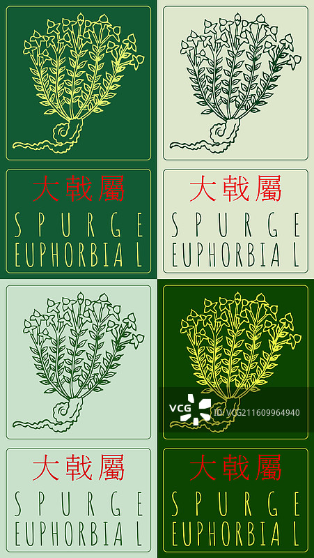 各种草图的集合图片素材