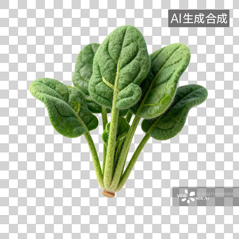 【AI数字艺术】新鲜菠菜叶特写图片素材