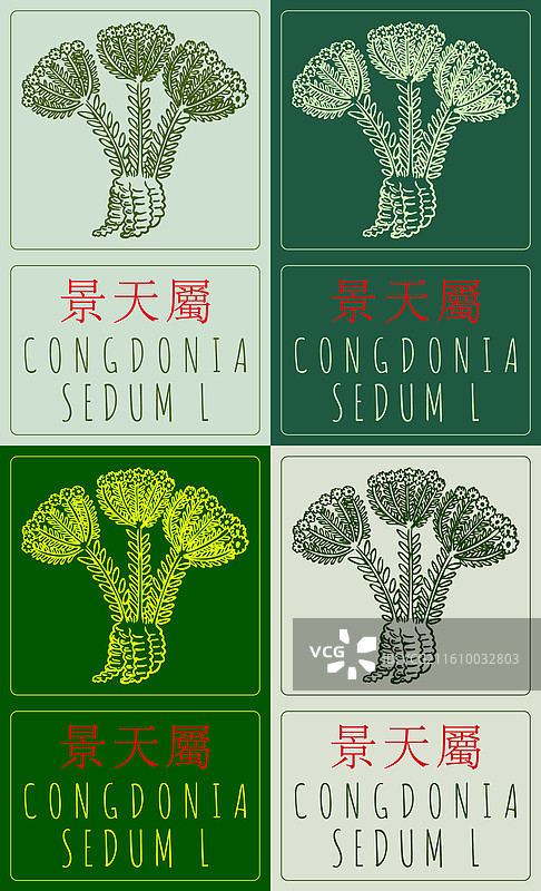 一套各种中国水彩画图片素材