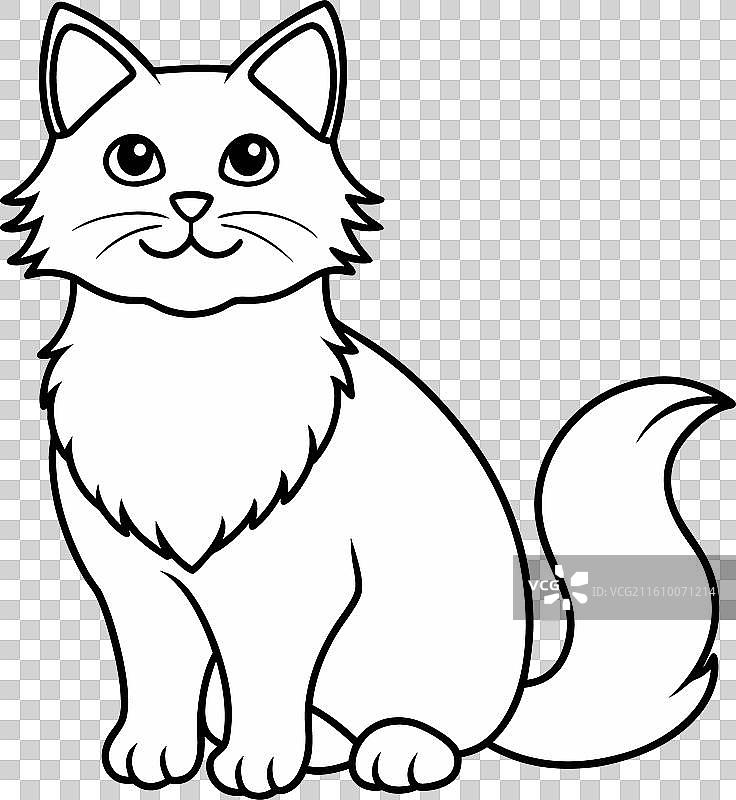 布偶猫图片素材