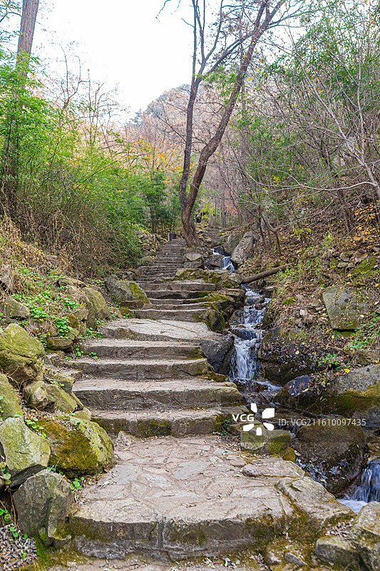 中国山东省济南市九如山旅游景区著名景点拍摄主题，蜿蜒的铺路石步行道路和绿色山脉森林，户外无人图像摄影图片素材