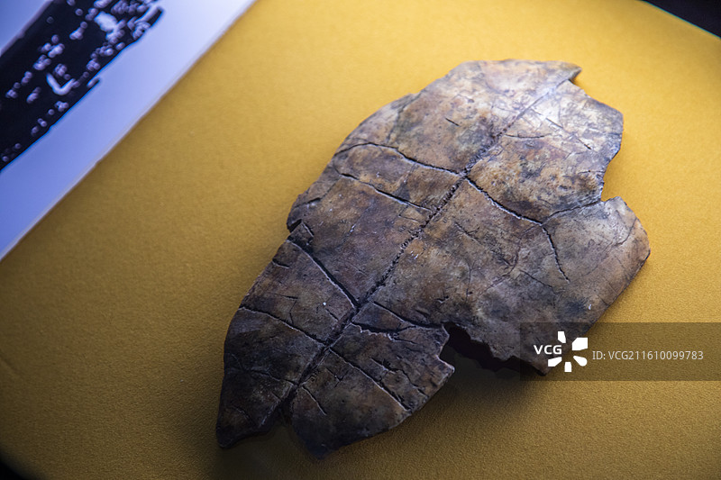 陶寺遗址丨史前龟甲丨早期刻文丨文物特写图片素材