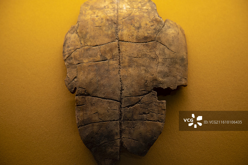 陶寺遗址丨史前龟甲丨早期刻文丨文物特写图片素材