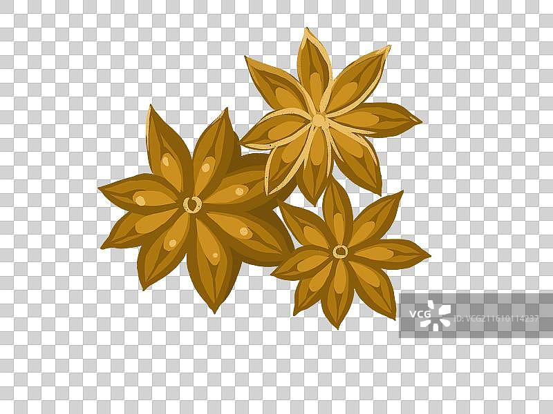 中药八角图片素材