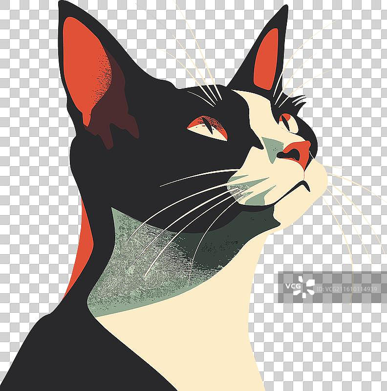 风格化的黑白猫图片素材