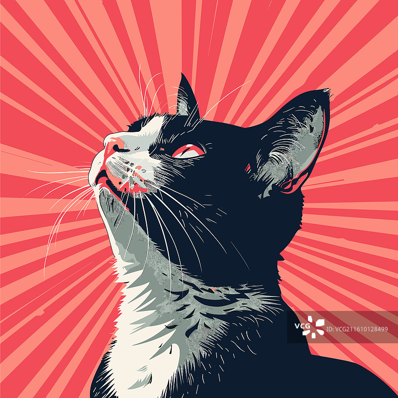 黑白猫艺术家般地舔爪子图片素材