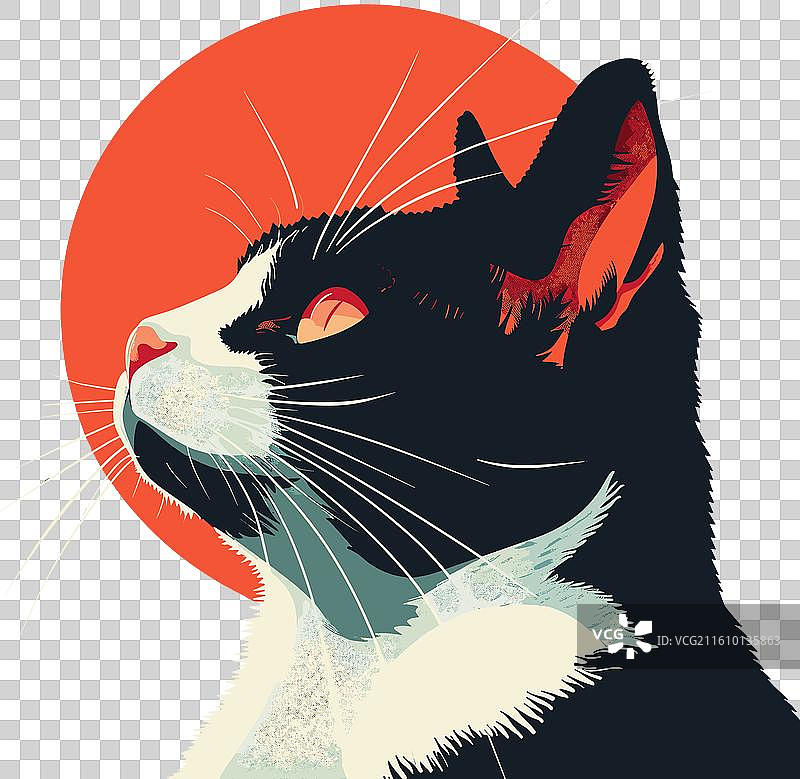 黑白猫的剪影，背景是红色的太阳图片素材