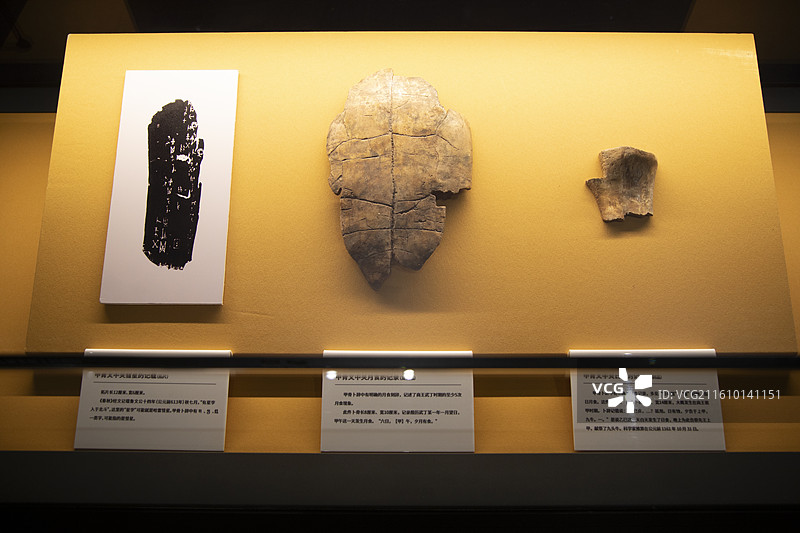 陶寺遗址丨史前龟甲丨早期刻文丨文物特写图片素材