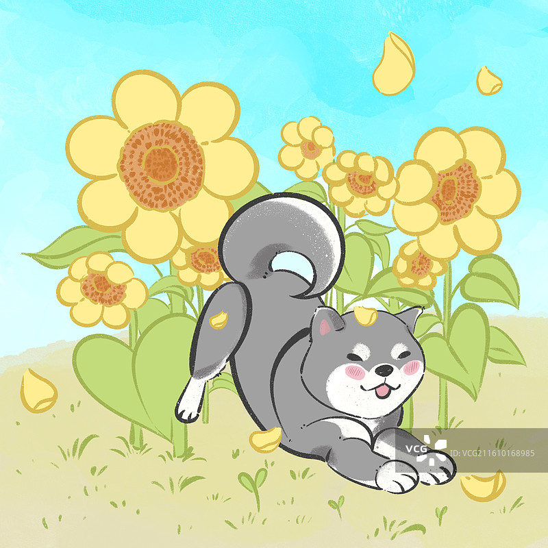 柴犬与向日葵图片素材