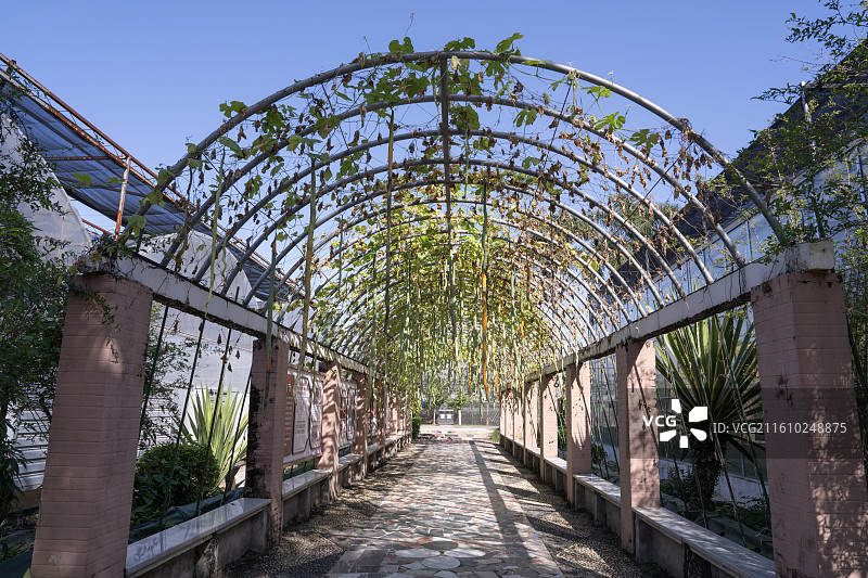 中国广西八桂田园景点风景图片素材