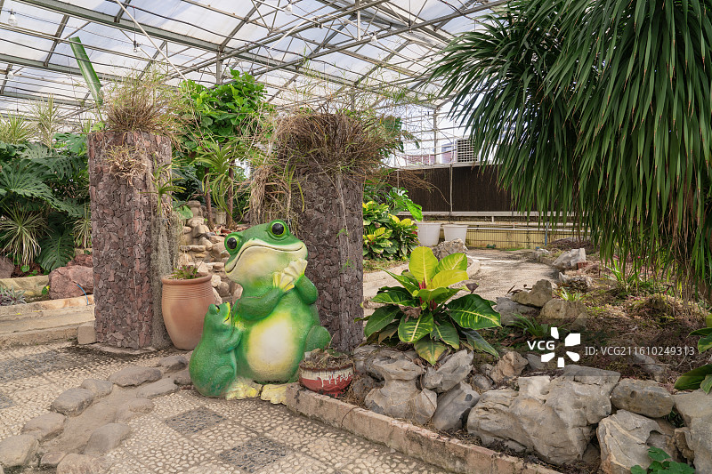 广西八桂田园里的无土栽培、墙体栽培蔬菜等图片素材