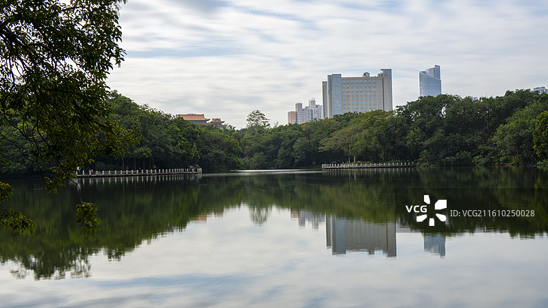 深圳东湖公园湖泊与高楼远景图片素材