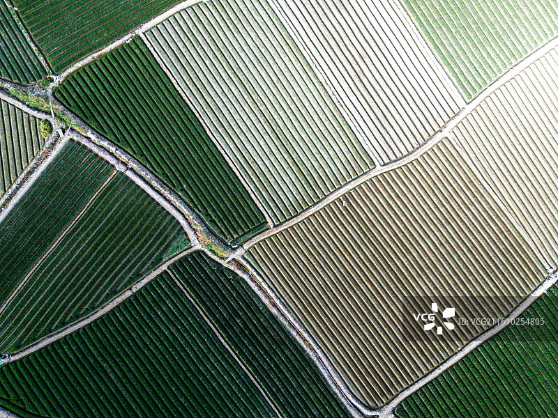 航拍农田景观图片素材