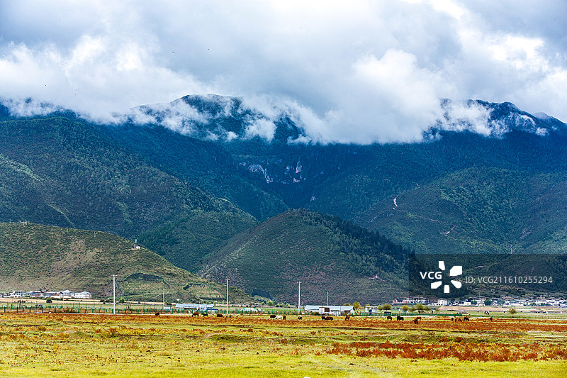 中国云南省迪庆藏族自治州香格里拉草地景观图片素材