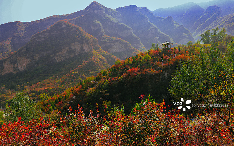 半山亭 秋季图片素材