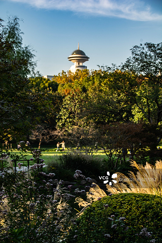 上海城市都市延中绿地公园自然风光图片素材
