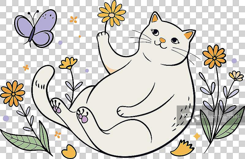 一只胖猫仰面躺着图片素材