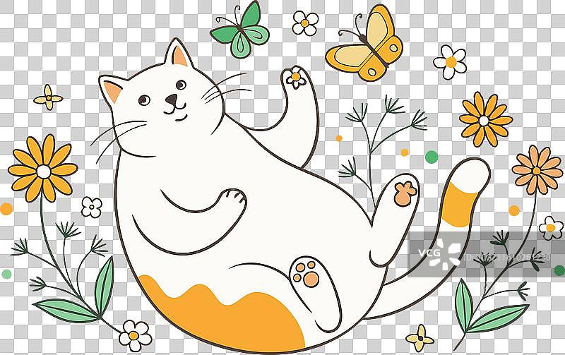 一只胖猫仰面躺着图片素材