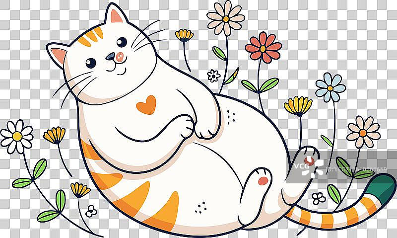 一只胖猫仰面躺着图片素材