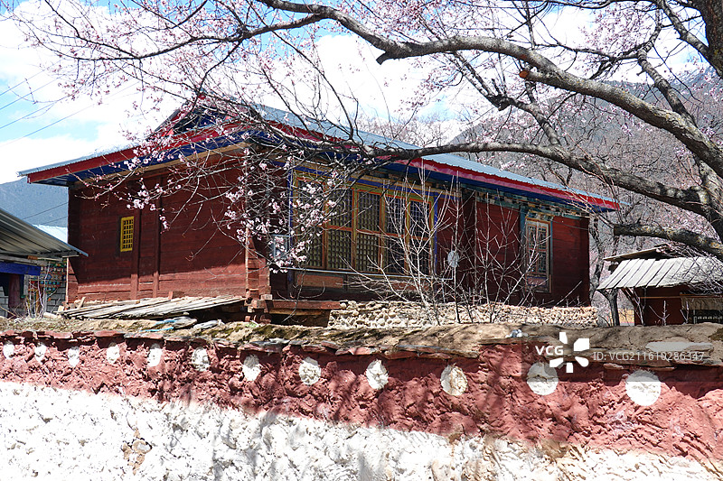 西藏林芝市波密县倾多镇倾多寺桃花盛开：波密桃花沟图片素材