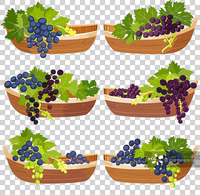 装满各色葡萄的聚宝盆篮子图片素材
