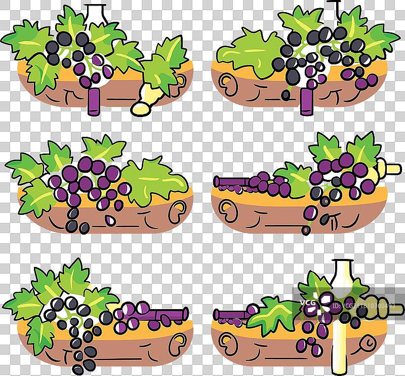 五彩缤纷的葡萄，不同成熟阶段图片素材