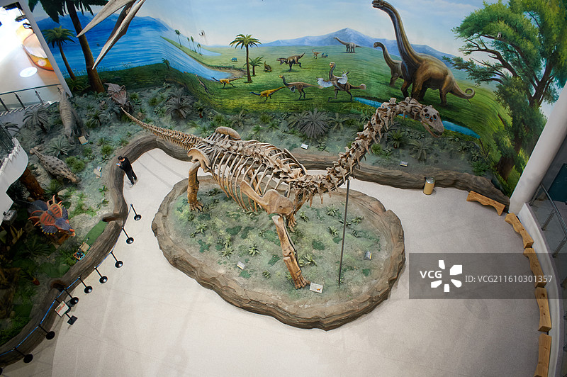 辽宁古生物博物馆，二层大厅刘家峡黄河巨龙骨架，沈阳城市旅游景点，自然科普教育图片素材