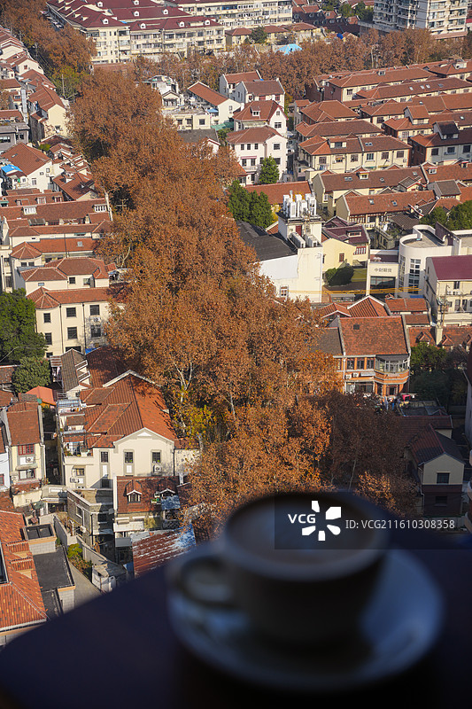 上海梧桐区老洋房秋末冬初街道梧桐树城市风景图片素材