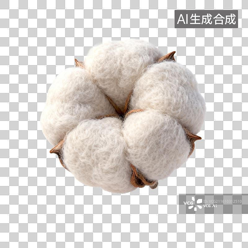 【AI数字艺术】棉花棉桃特写图片素材