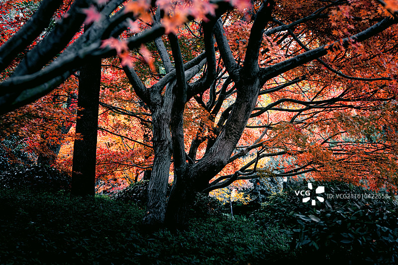 瑞金宾馆2图片素材