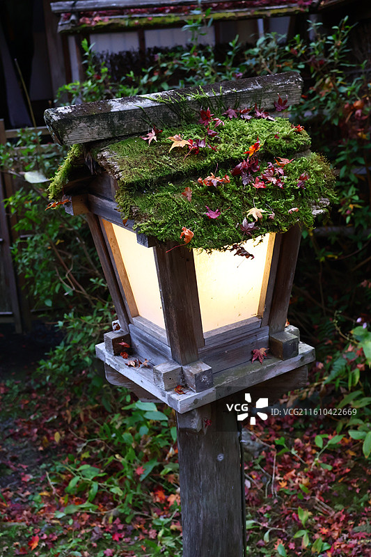 京都秋天落叶下爱宕念佛寺的灯龛图片素材