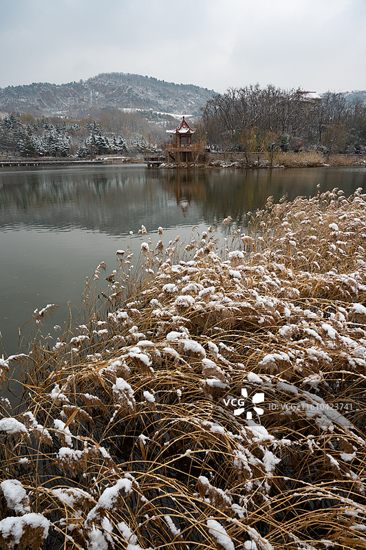 初雪的十梅庵图片素材