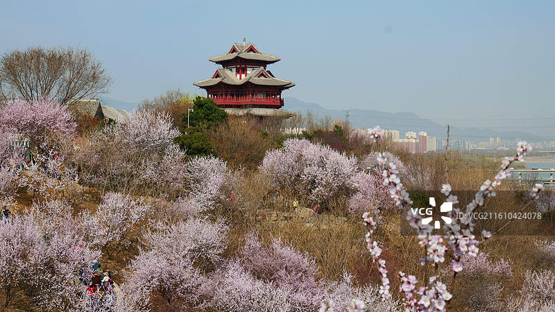 春天的北京园博园图片素材