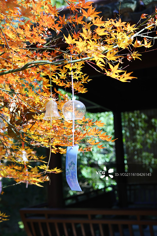 杭州灵隐寺附近玉液幽兰景区图片素材