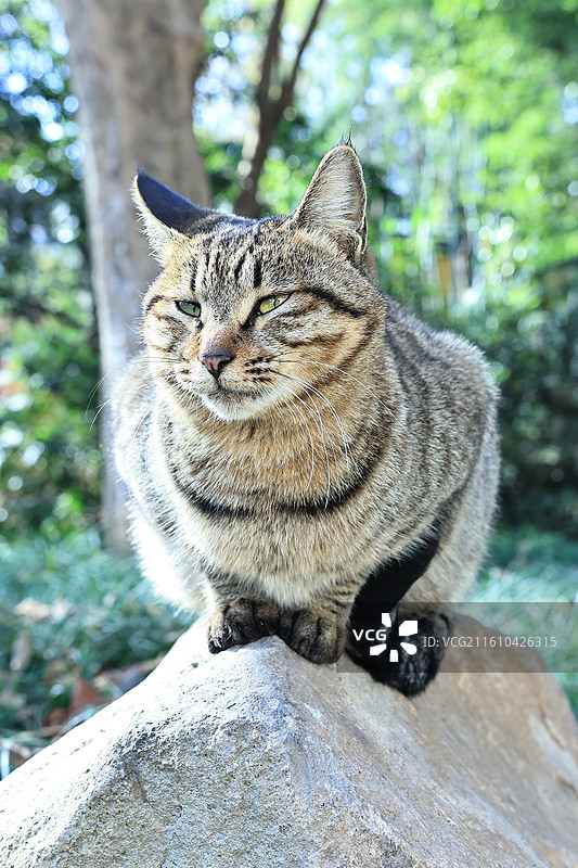 杭州永福禅寺图片素材