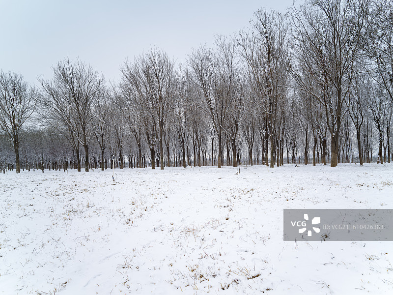 河北省石家庄市滹沱河生态旅游区雪景摄影图片图片素材