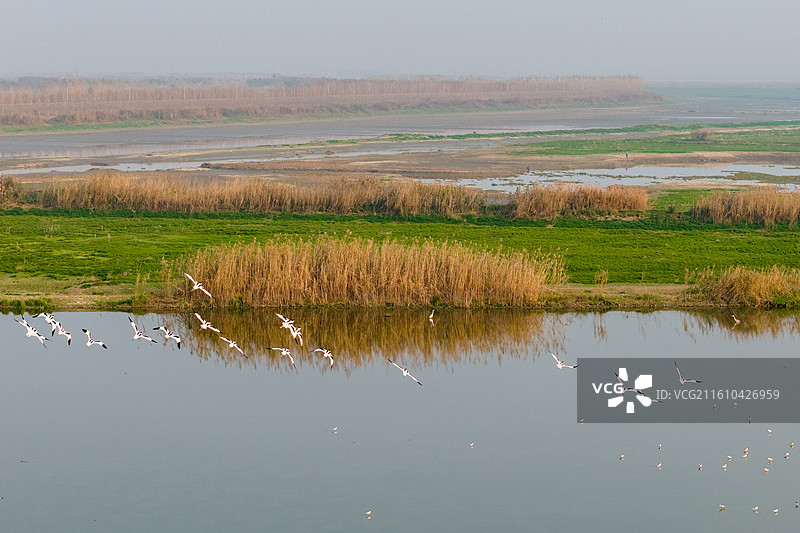 沉湖湿地图片素材