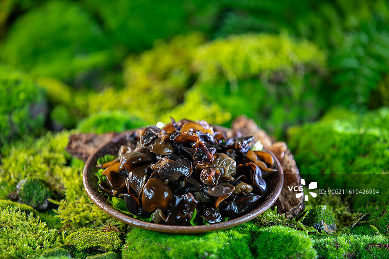 山野风拍摄火锅菜品图片素材